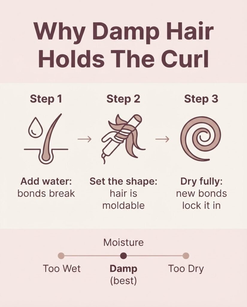 Diagram showing how damp hair sets into curls as hydrogen bonds reform while drying, damp not wet not dry guide